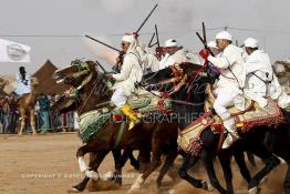 Image du Maroc Professionnelle de  Course typiquement marocaine dite ''la Fantasia'' organisé dans un site désertique sur lequel la ville de Tan Tan a toujours accueilli la majorité des tribus et des grandes familles nomades du désert lors d'un grand moussem, Samedi 24 Mars 2012. (Photo / Abdeljalil Bounhar)

 